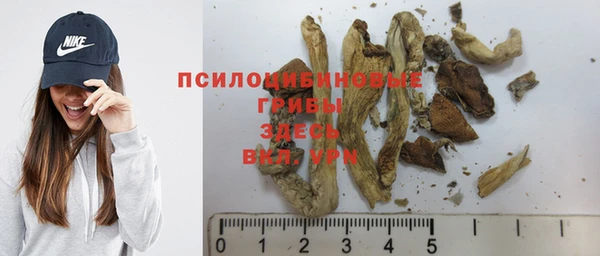 соль курить ск Краснослободск