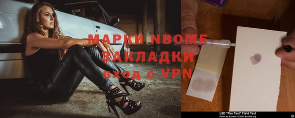 прущие грибы Краснотурьинск