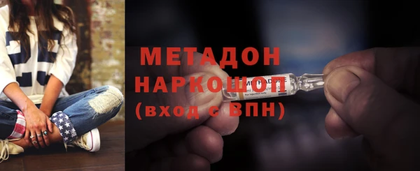 прущие грибы Краснотурьинск