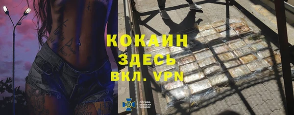 прущие грибы Краснотурьинск