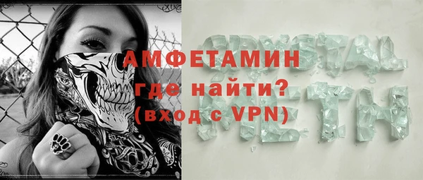 прущие грибы Краснотурьинск